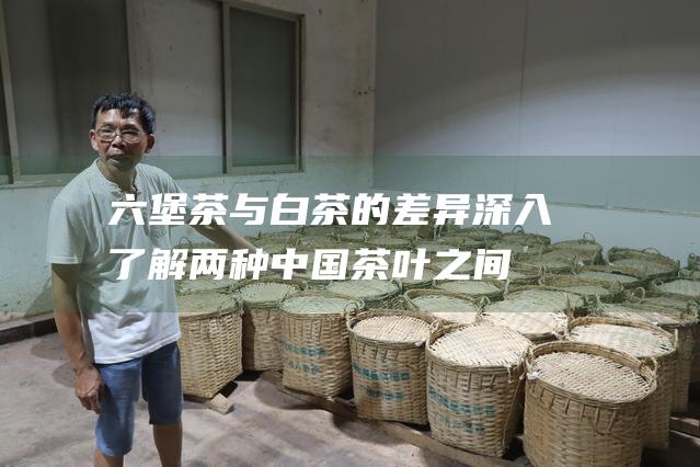 六堡茶与白茶的差异：深入了解两种中国茶叶之间的对比