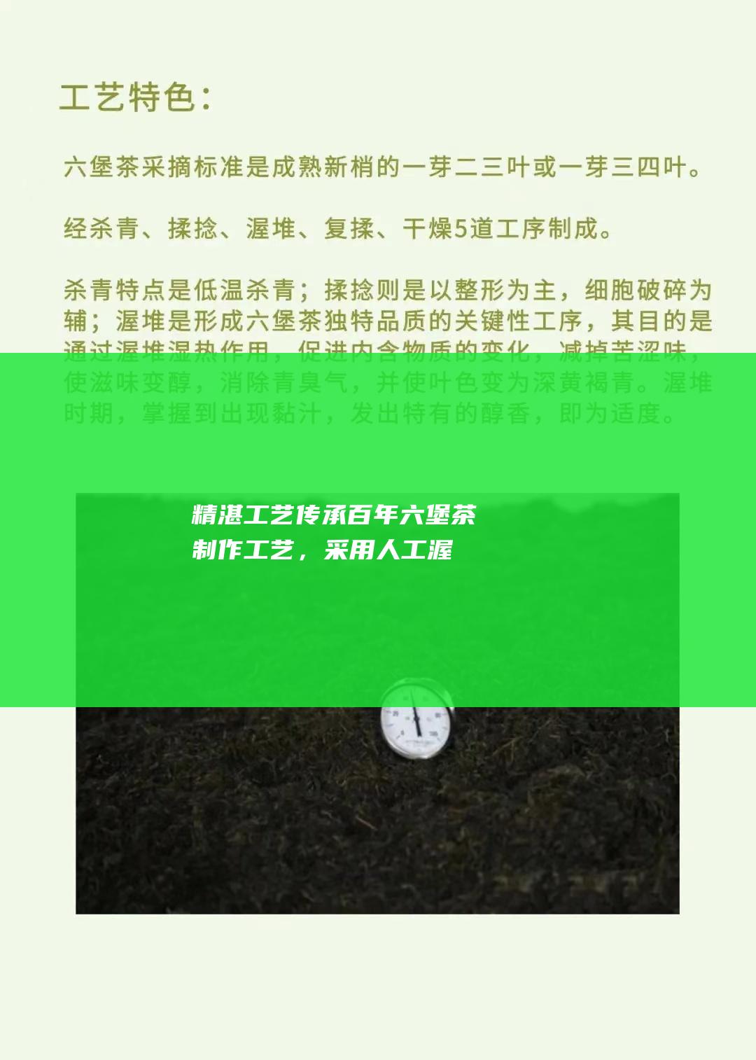 精湛工艺：传承百年六堡茶制作工艺，采用人工渥堆发酵，塑造独特的六堡茶风味。