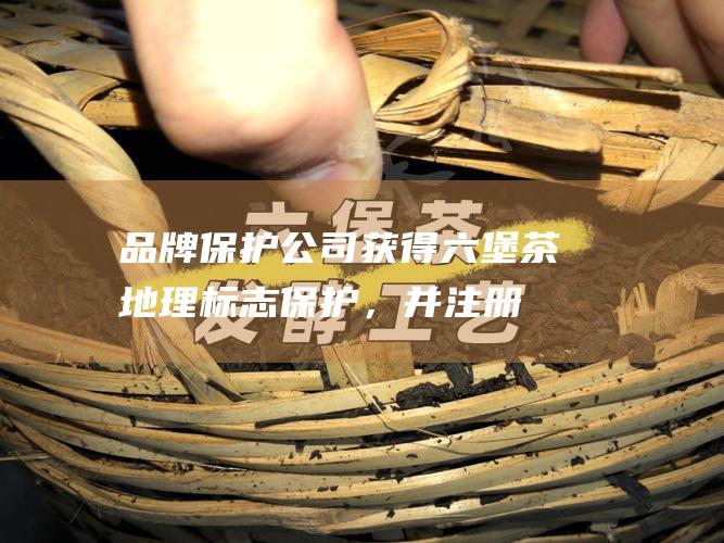 品牌保护：公司获得六堡茶地理标志保护，并注册了多个商标，保障品牌权益。