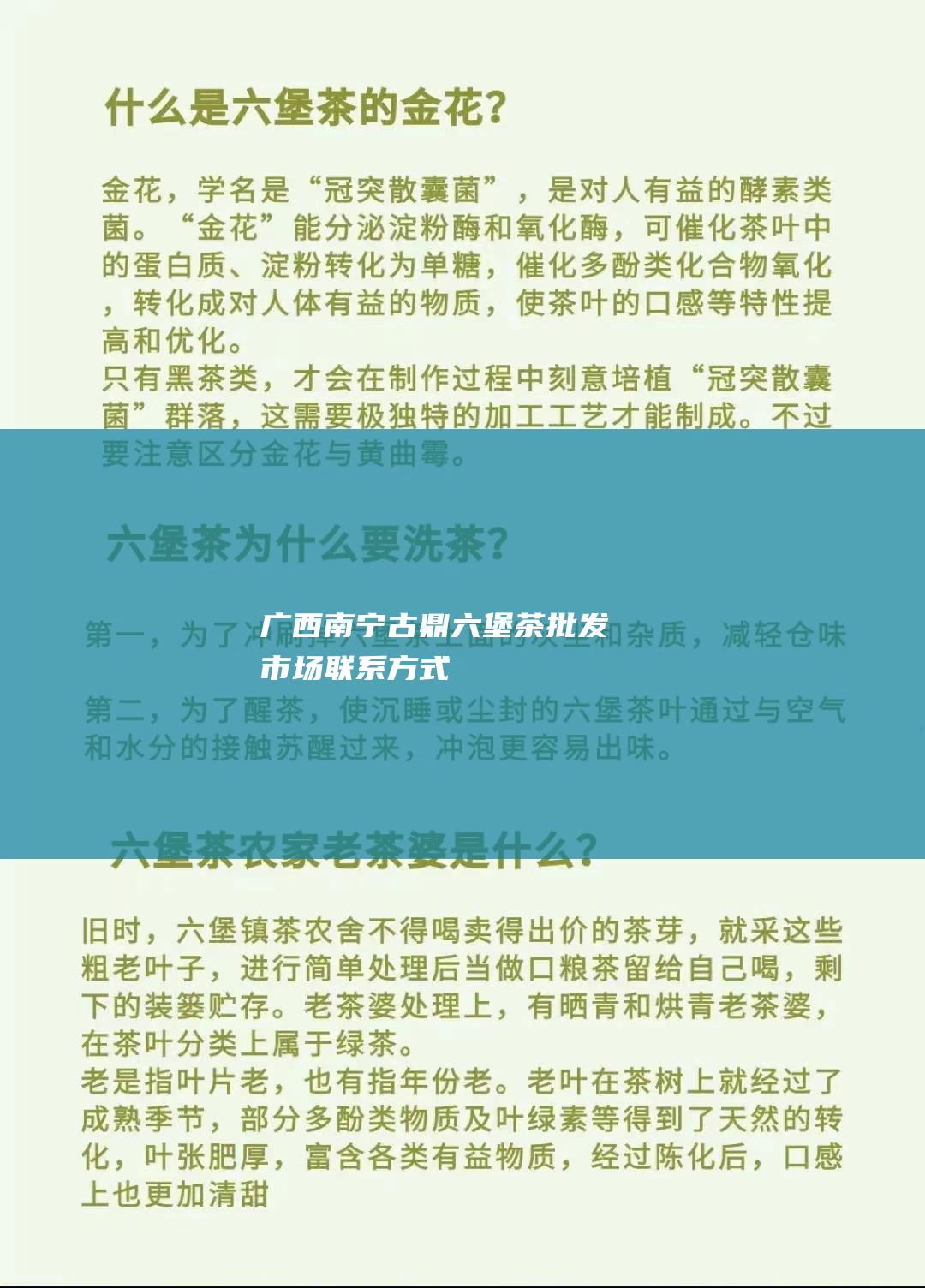 广西南宁古鼎六堡茶批发市场联系方式