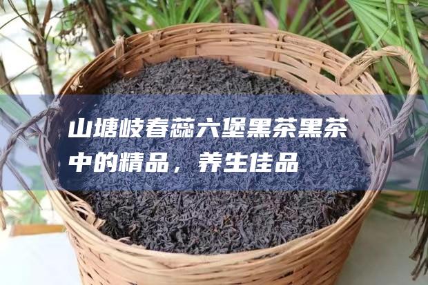 山塘岐春蕊六堡黑茶：黑茶中的精品，养生佳品