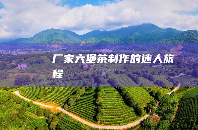 厂家茶制作的迷人旅程