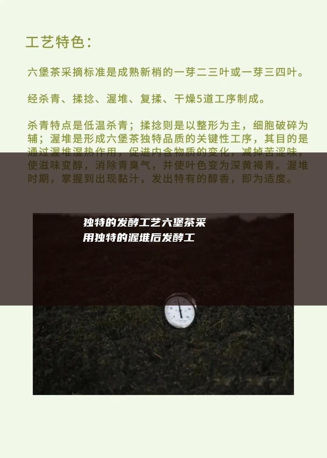 独特的发酵工艺：六堡茶采用独特的渥堆后发酵工艺，在渥堆过程中产生大量微生物，赋予六堡茶独特的醇厚香气和药用价值。