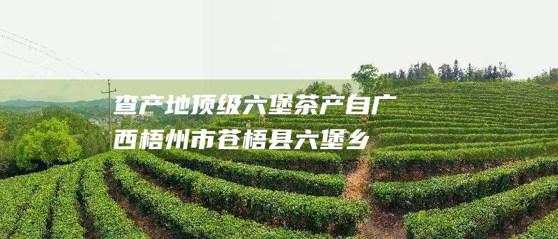 查产地：顶级六堡茶产自广西梧州市苍梧县六堡乡，购买时要查看茶叶的产地证明。