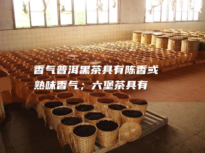 香气黑茶具有陈香或熟味香气；六堡茶具有