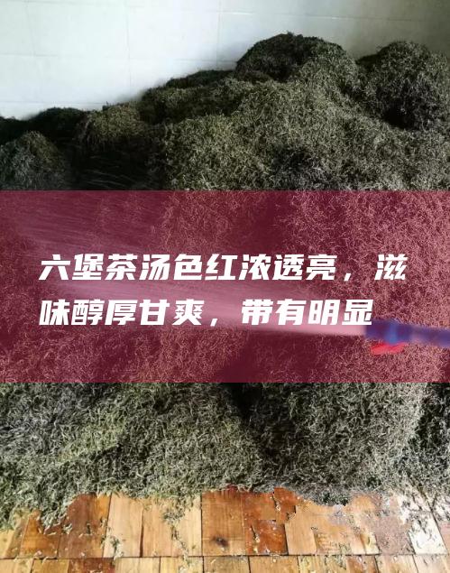 六堡茶：汤色红浓透亮，滋味醇厚甘爽，带有明显的烟熏味和甘甜味，入口有饱满感。