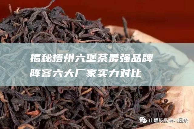 揭秘梧州六堡茶最强品牌阵容：六大厂家实力对比