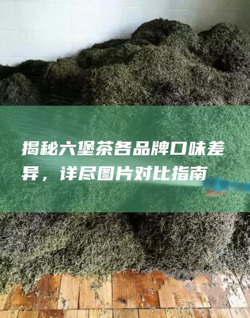 揭秘六堡茶各品牌口味差异，详尽图片对比指南