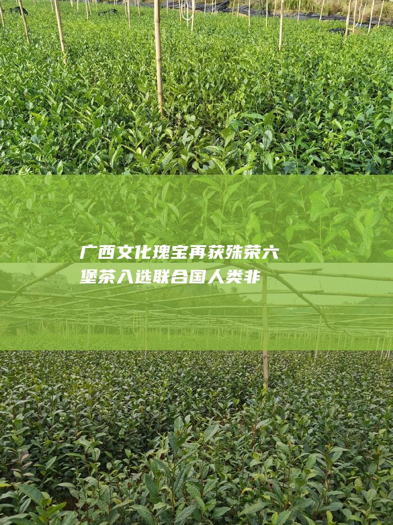 广西文化瑰宝再获殊荣：六堡茶入选联合国人类非物质文化遗产名录