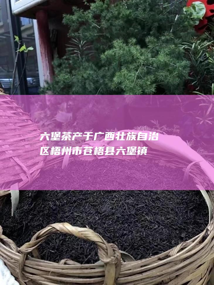 六堡茶：产于广西壮族自治区梧州市苍梧县六堡镇，有着500多年的历史。