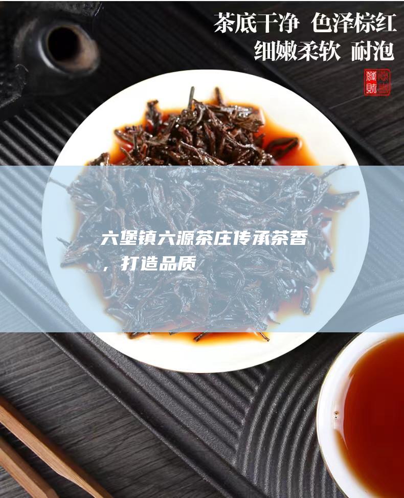 六堡镇六源茶庄：传承茶香，打造品质