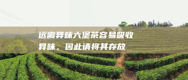 远离异味：六堡茶容易吸收异味，因此请将其存放在远离异味的环境中。