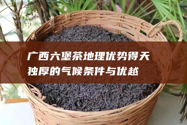 广西茶地理优势得天独厚的气候条件与优越