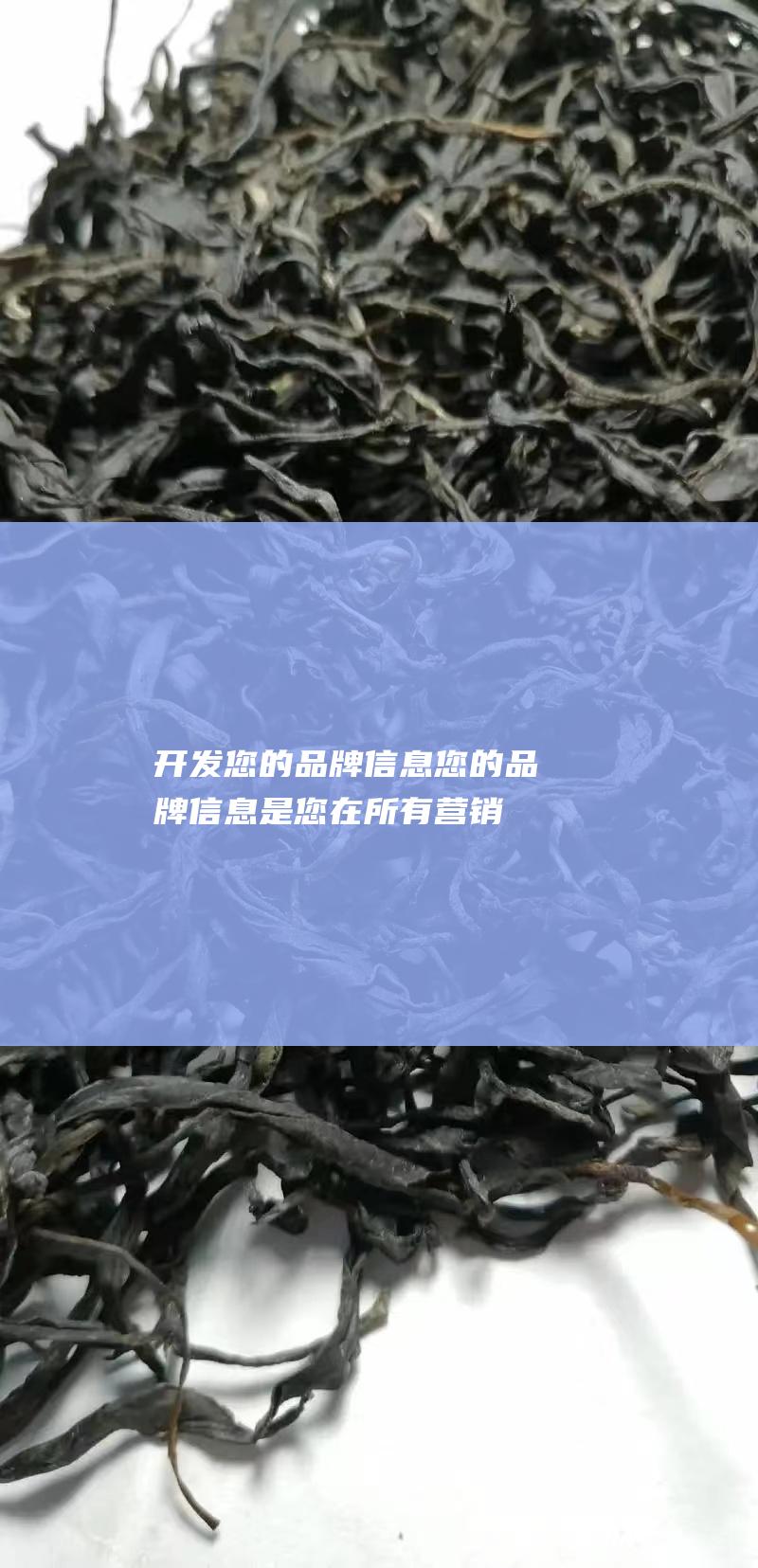 开发您的品牌信息：您的品牌信息是您在所有营销材料中使用的信息。它应该一致并反映您的品牌定位。