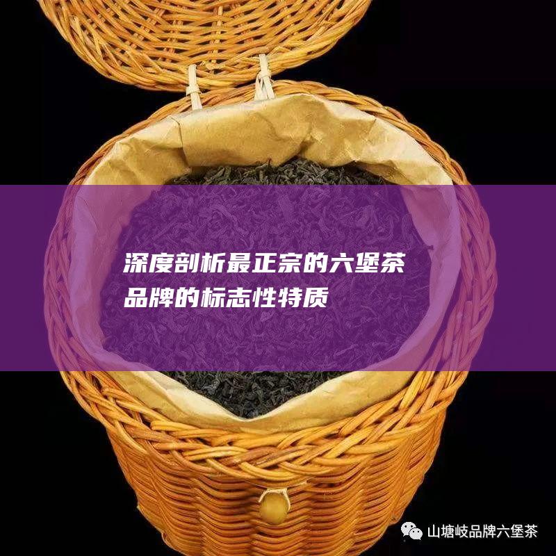 深度剖析：最正宗的六堡茶品牌的标志性特质