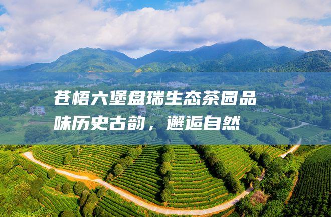 苍梧六堡盘瑞生态茶园：品味历史古韵，邂逅自然之美