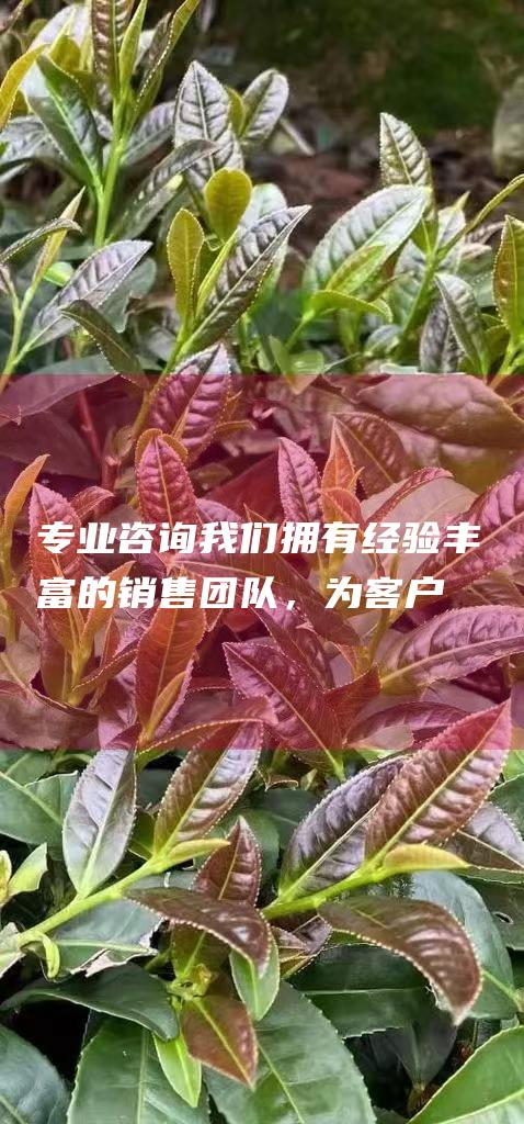 专业咨询：我们拥有经验丰富的销售团队，为客户提供专业的咨询服务，帮助客户选择适合自己的礼盒。