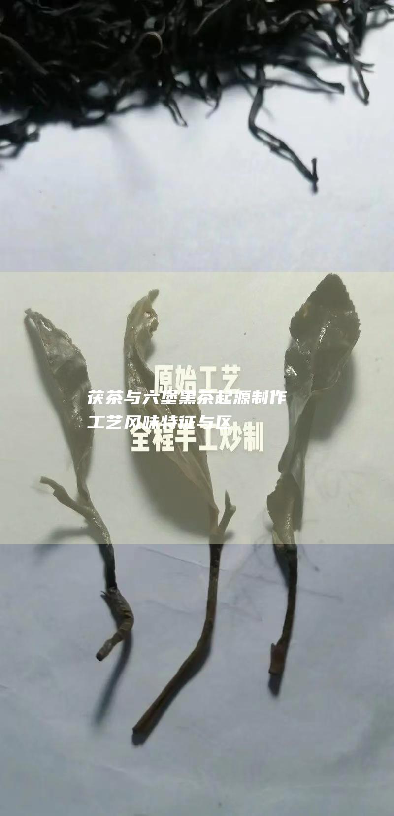 茯茶与六堡黑茶：起源、制作工艺、风味特征与区别