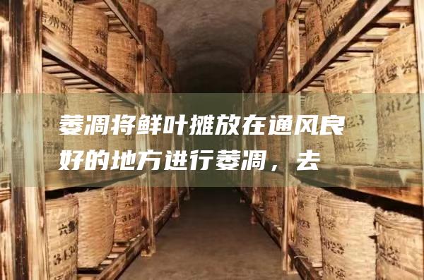 萎凋：将鲜叶摊放在通风良好的地方进行萎凋，去除水分。