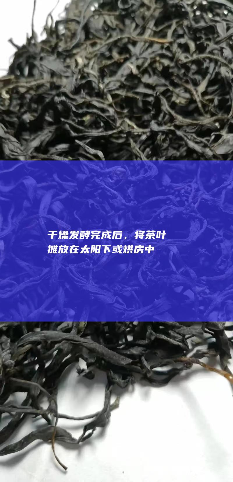 干燥：发酵完成后，将茶叶摊放在太阳下或烘房中干燥。