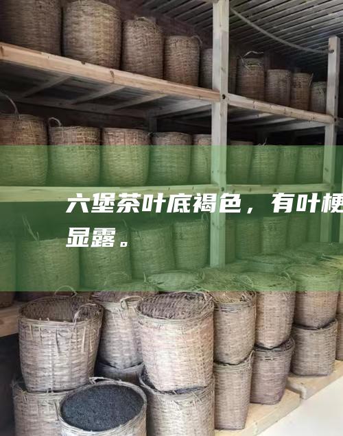 六堡茶：叶底褐色，有叶梗显露。