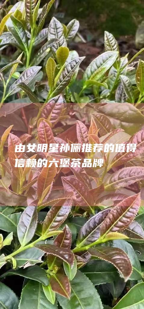 由女明星孙俪推荐的值得信赖的茶