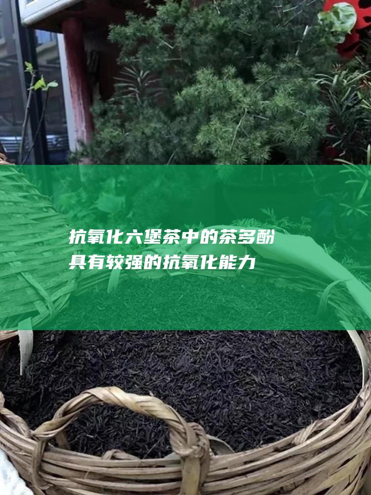 抗氧化：六堡茶中的茶多酚具有较强的抗氧化能力，可以清除人体内的自由基，保护细胞免受损伤。