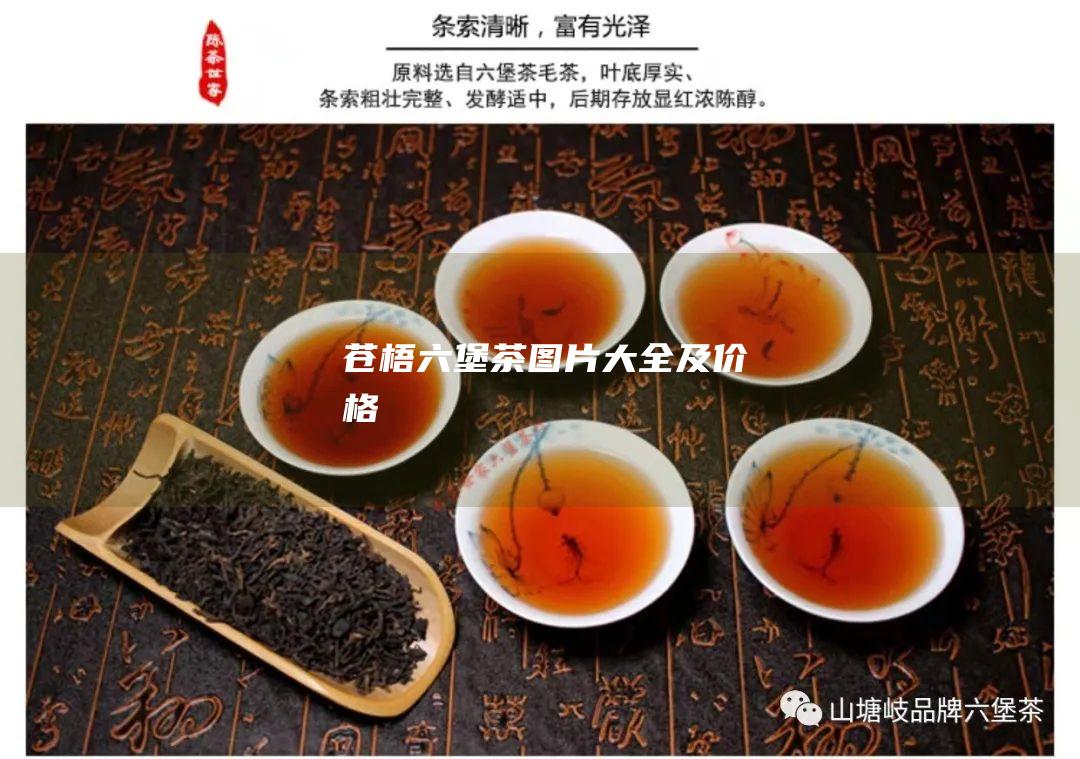 苍梧六堡茶图片大全及价格