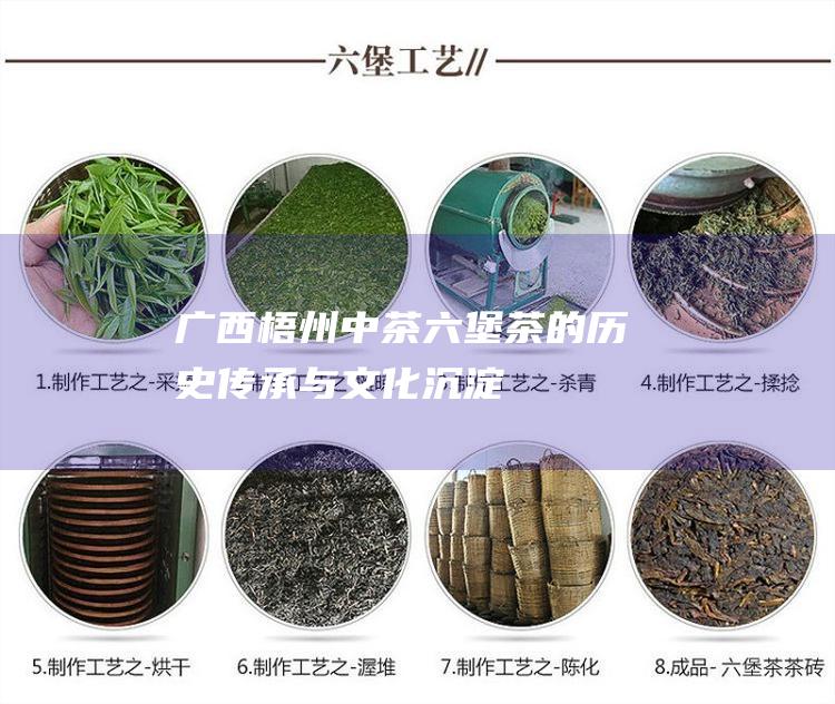 广西梧州中茶六堡茶的历史传承与文化沉淀