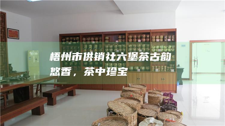 梧州市供销社六堡茶：古韵悠香，茶中珍宝