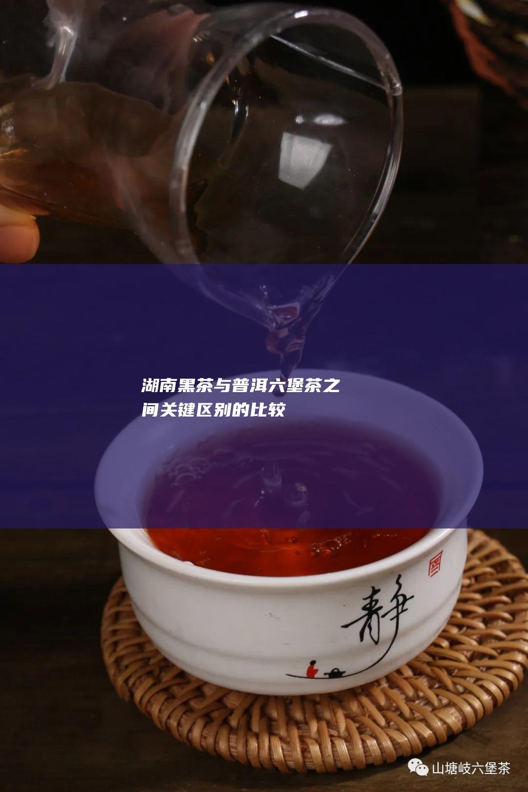 湖南黑茶与普洱六堡茶之间关键区别的比较