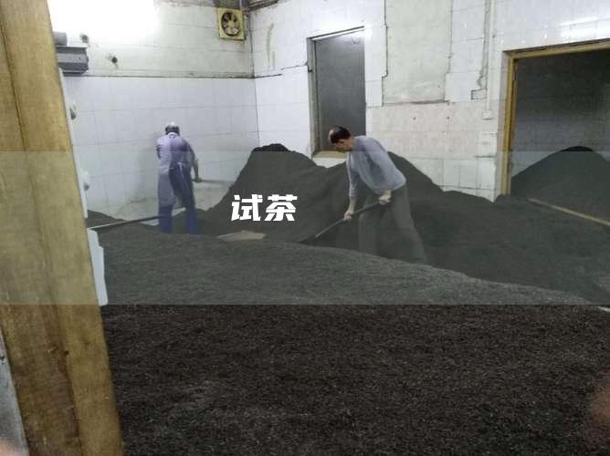 试茶