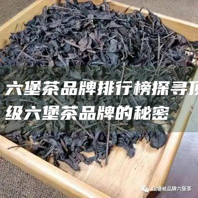 六堡茶品牌排行榜：探寻顶级六堡茶品牌的秘密