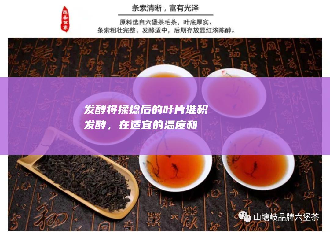 发酵：将揉捻后的叶片堆积发酵，在适宜的温度和湿度条件下，叶片中的茶多酚和儿茶素等物质发生氧化聚合反应，形成黑茶特有的色、香、味。