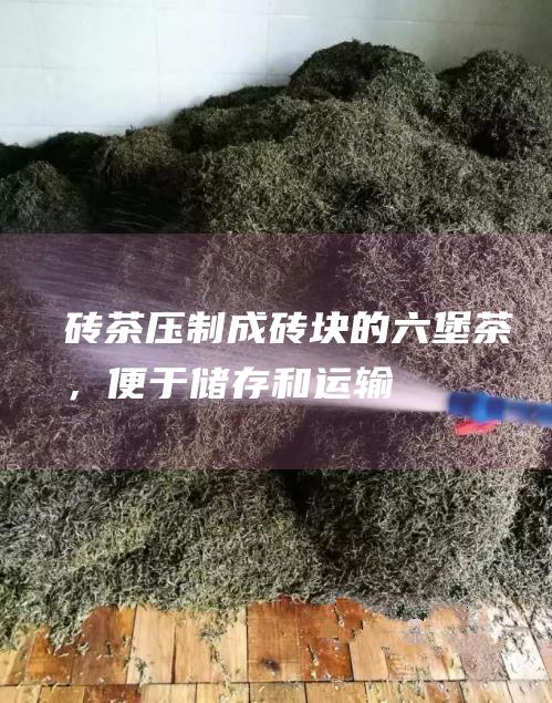 砖茶：压制成砖块的六堡茶，便于储存和运输