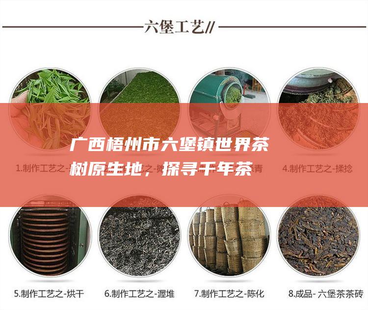 广西梧州市六堡镇：世界茶树原生地，探寻千年茶香之源