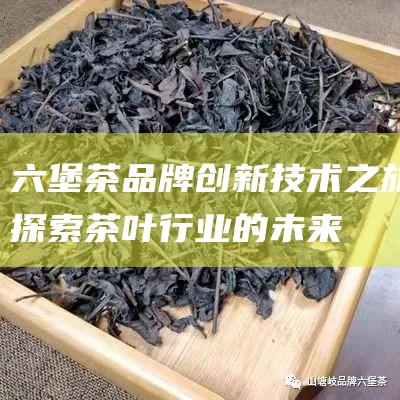 六堡茶品牌创新技术之旅：探索茶叶行业的未来