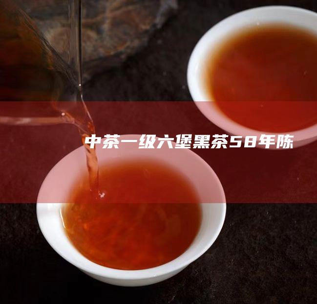 中茶一级六堡黑茶（5-8年陈期）