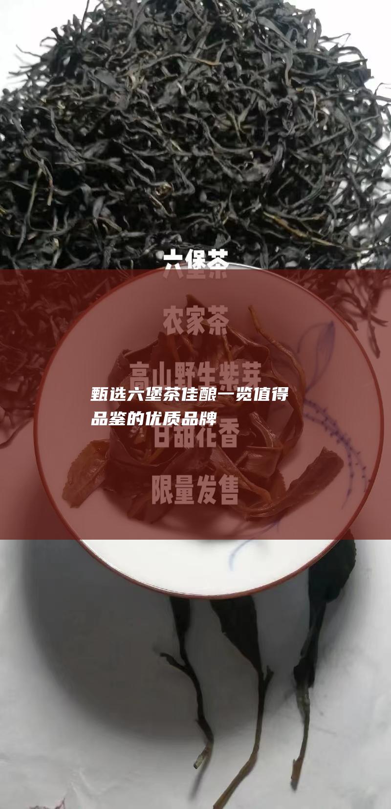 甄选六堡茶佳酿：一览值得品鉴的优质品牌