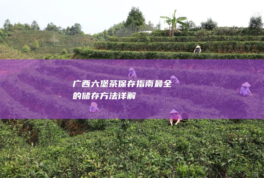 广西六堡茶保存指南：最全的储存方法详解