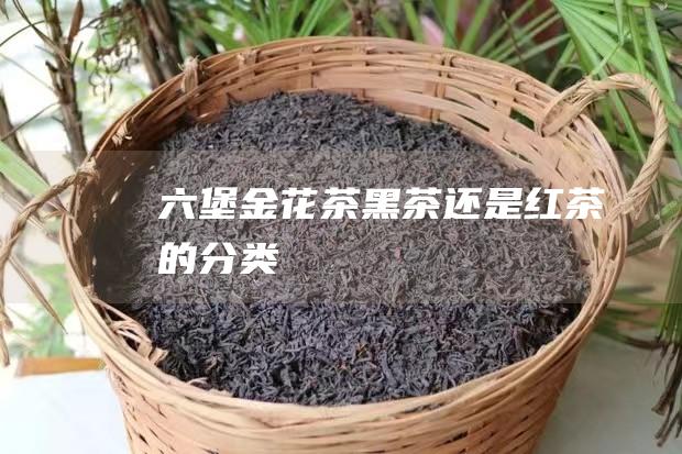 六堡金花茶：黑茶还是红茶的分类