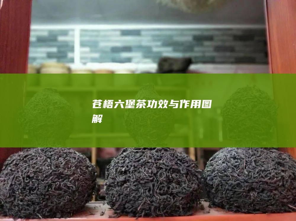 苍梧茶与作用图解