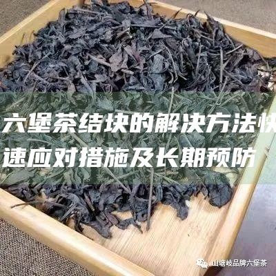 六堡茶结块的解决方法：快速应对措施及长期预防策略