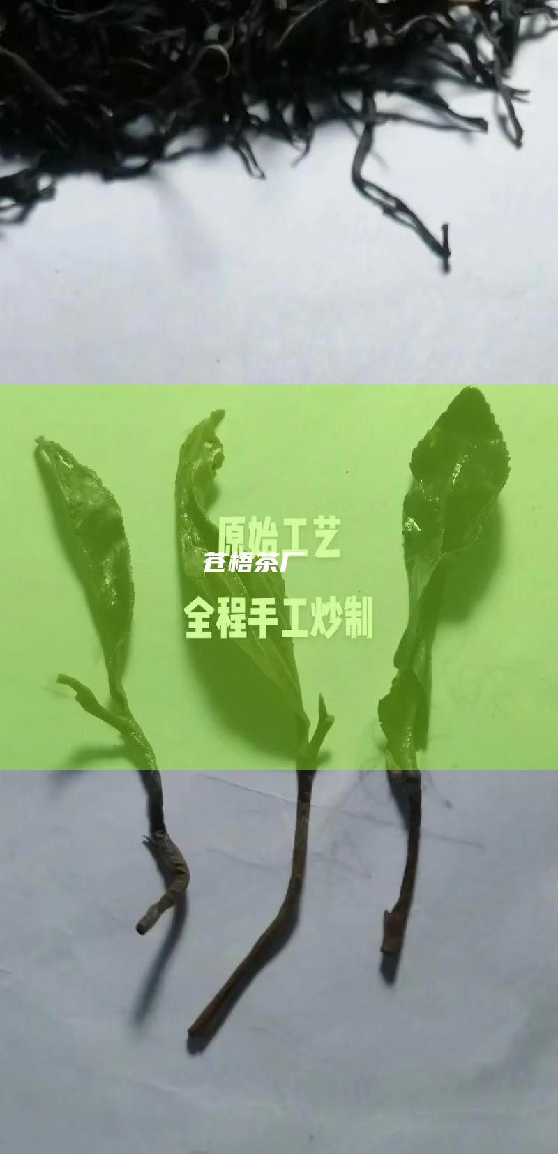 苍梧茶厂