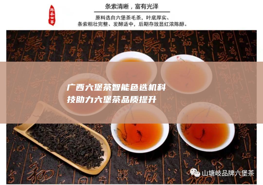 广西六堡茶智能色选机：科技助力六堡茶品质提升