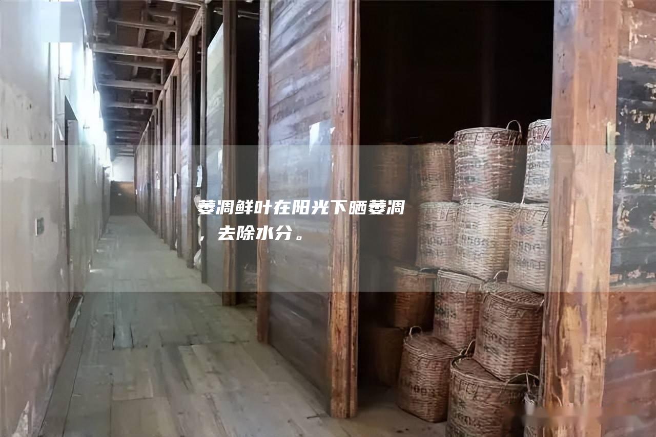 萎凋：鲜叶在阳光下晒萎凋，去除水分。