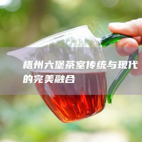 梧州六堡茶室：传统与现代的完美融合