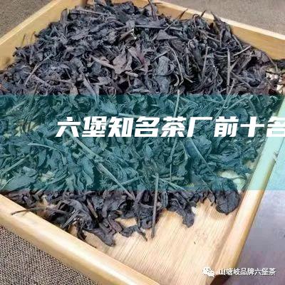 六堡知名茶厂前十名品牌