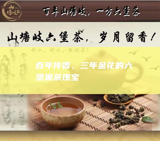 百年传香，三年金花的六堡黑茶瑰宝