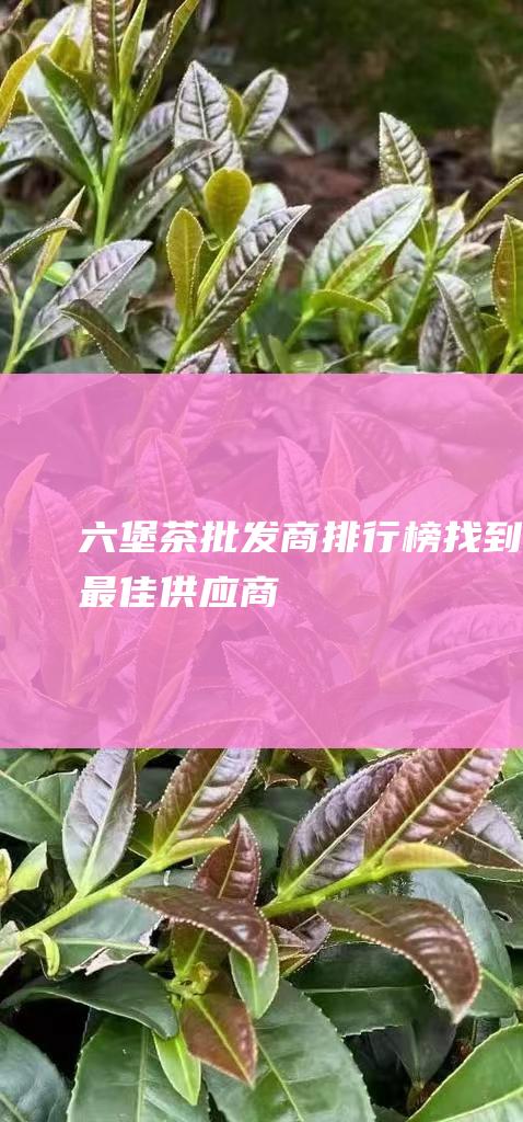 六堡茶批发商排行榜：找到最佳供应商